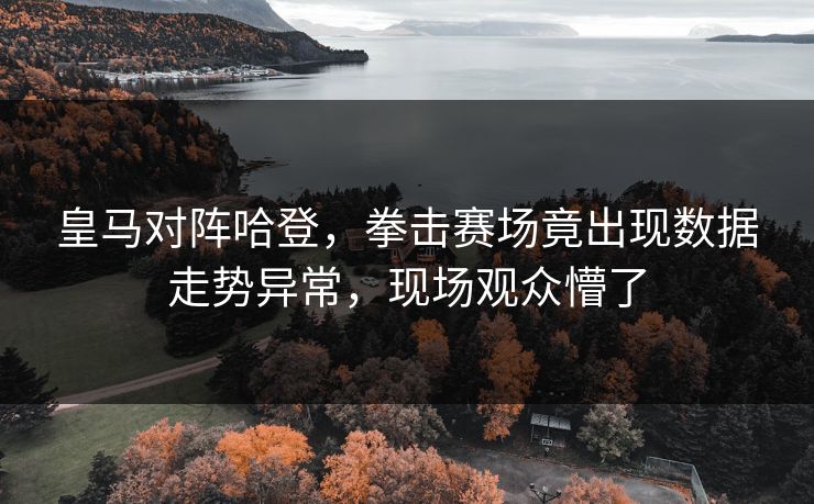 皇马对阵哈登，拳击赛场竟出现数据走势异常，现场观众懵了